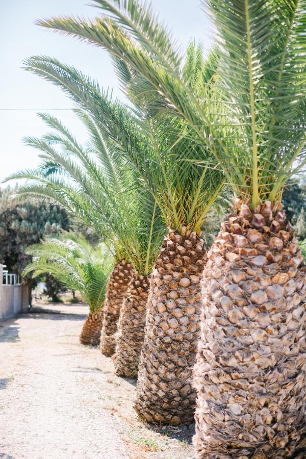 Ktima Tzaneti - Coastal Farmhouse Lakhania Ngoại thất bức ảnh